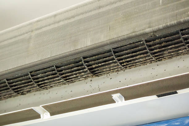 Best Ductwork Cleaning Services  in Ironwood, MI